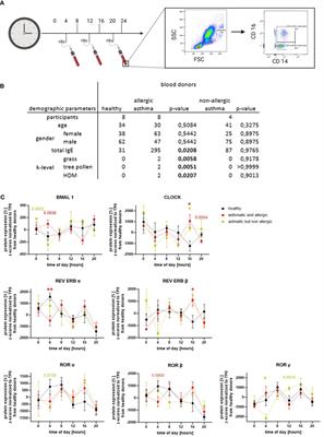 The disrupted molecular circadian clock of monocytes and macrophages in allergic inflammation